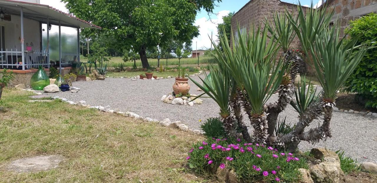 La Cascina Della Grotta Di Tufo Bed & Breakfast San Valentino  Екстериор снимка